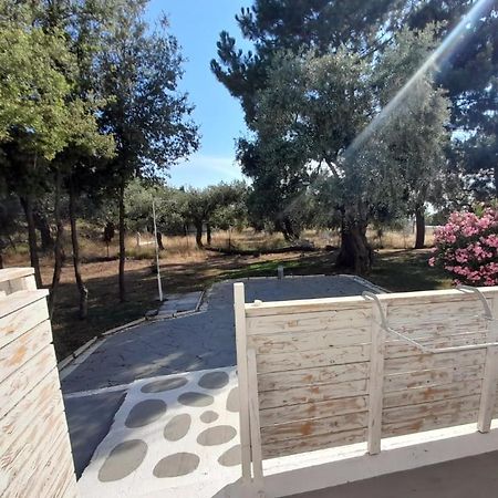 فندق Orama Thassos سكالا سوتيروس المظهر الخارجي الصورة